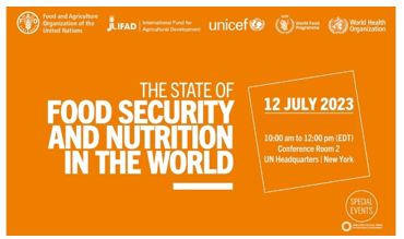 img-FAOs REPORT ON FOOD SECURITY AND NUTRITION IN WORLD