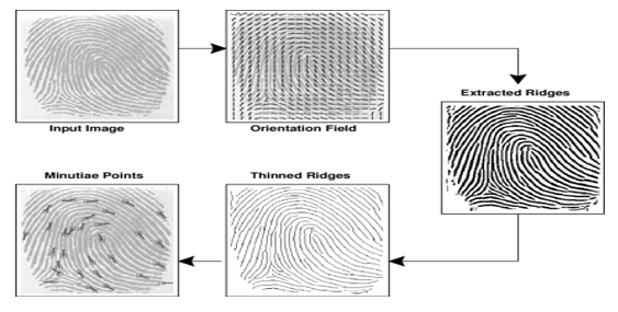 FINGER MINUTIAE RECORD - FINGER IMAGE RECORD (FMR-FIR) MODALITY