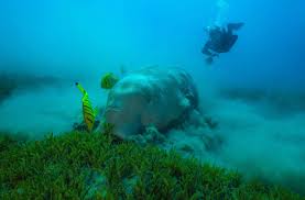 img-First Asian Regional Dialogue on Seagrass and Dugong Conservation