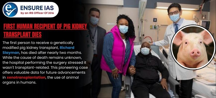 img-First Human Recipient of Pig Kidney Transplant Dies