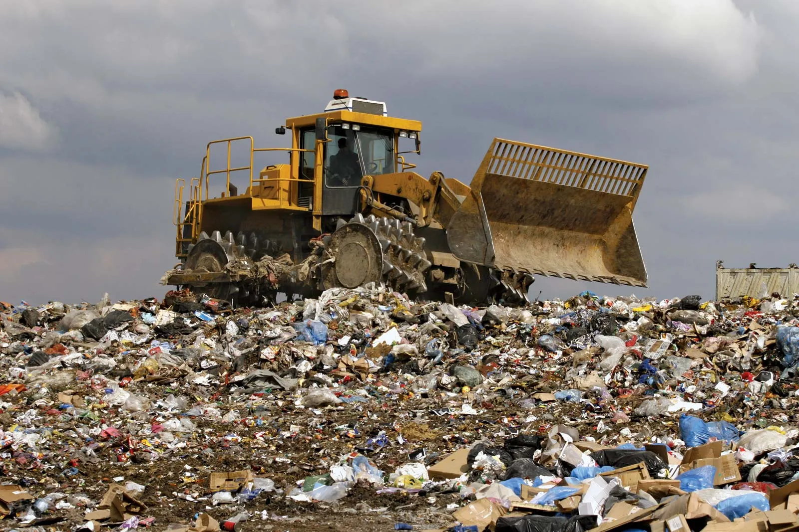 img-Food Waste Index Report (FWIR) 2024