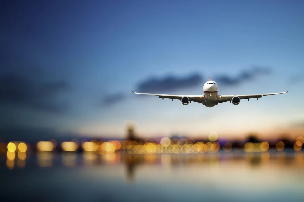 img-Forest Clearance for Puri Airport Deferred Over Wildlife Concerns