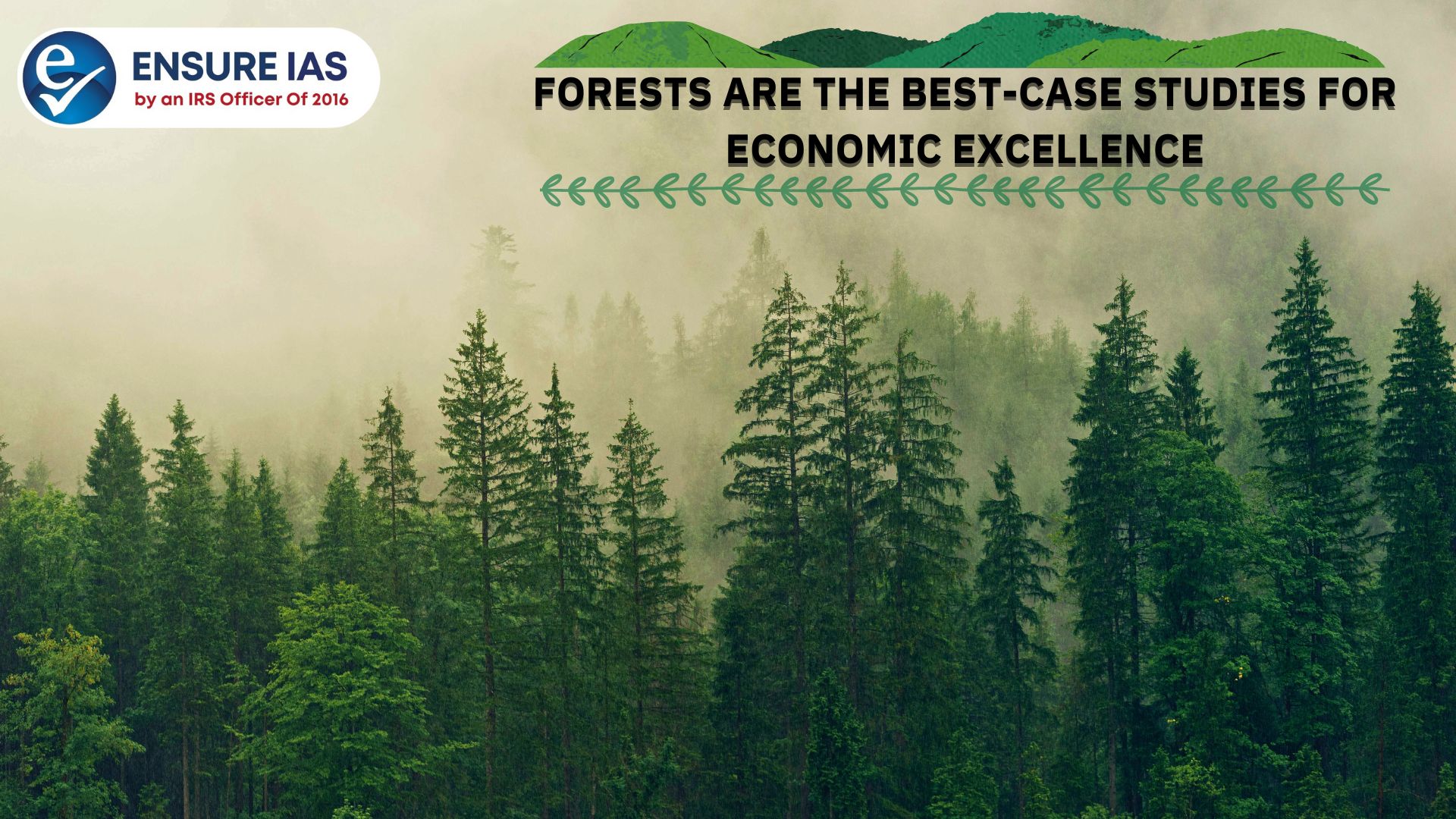 img-FORESTS ARE THE BEST-CASE STUDIES FOR ECONOMIC EXCELLENCE