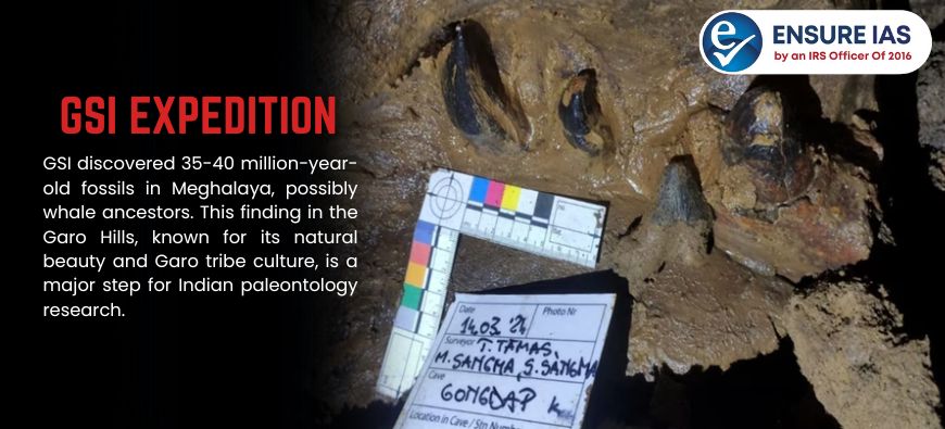 img-GSI Finds 40 Million Year Old Fossils in South Garo Hills