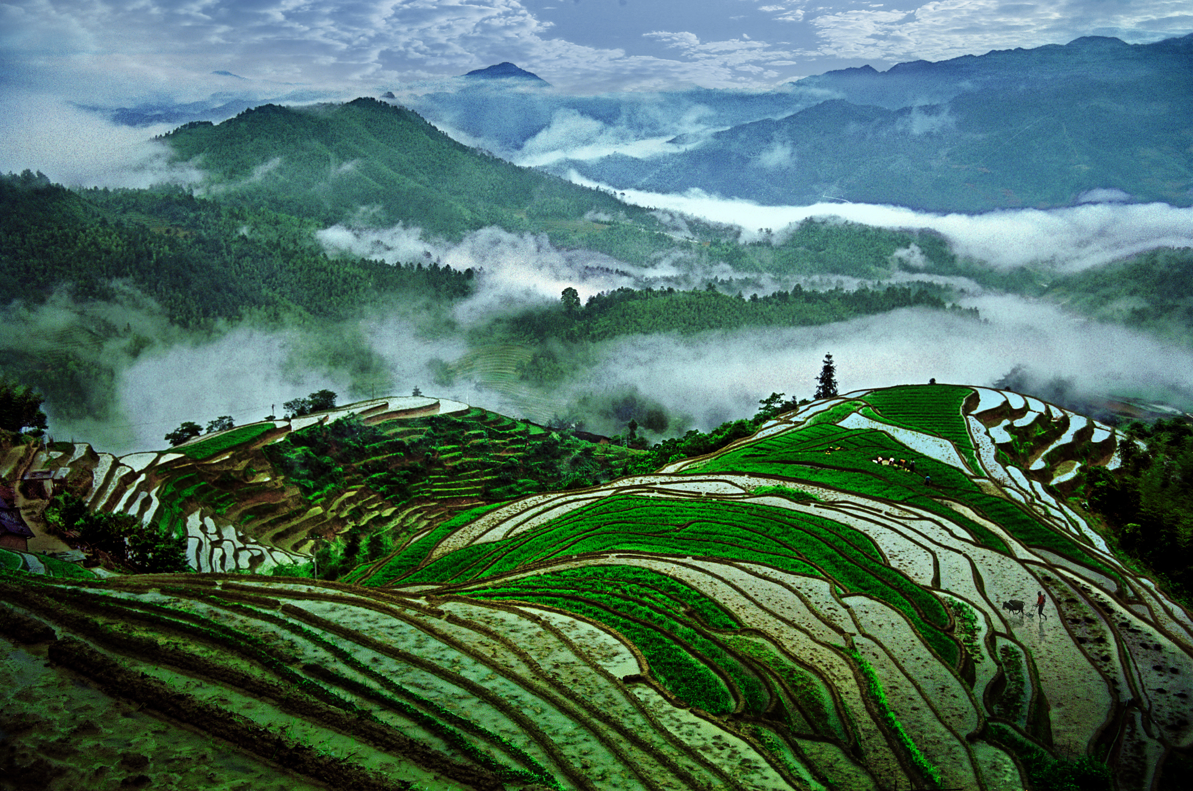 img-Globally Important Agricultural Heritage Systems (GIAHS)