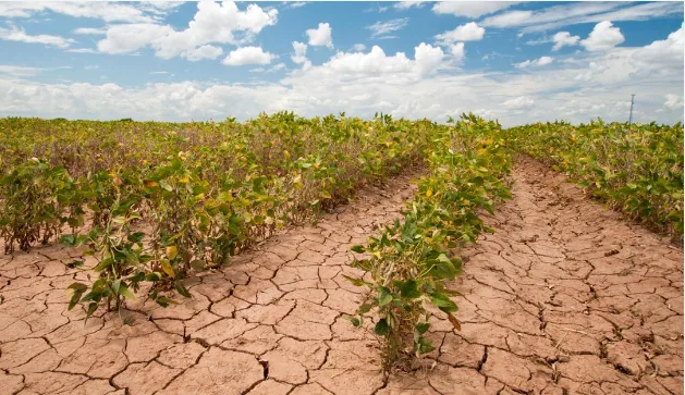 img-Government Efforts to Combat Climate Change in Agriculture