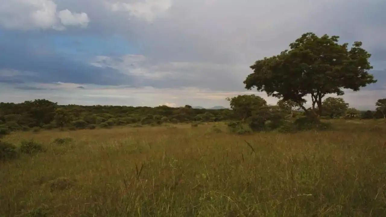 img-Government of Karnataka Notifies Hesaraghatta Grassland Conservation Reserve