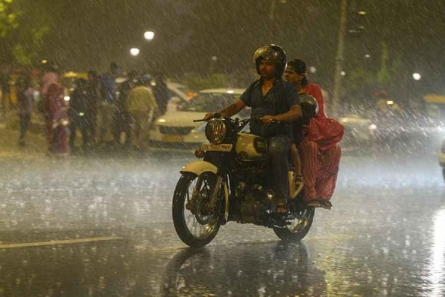 img-India is Expected To Receive Higher than Average Rainfall