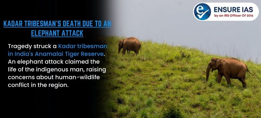 img-Kadar Tribesman’s Death Due to An Elephant Attack