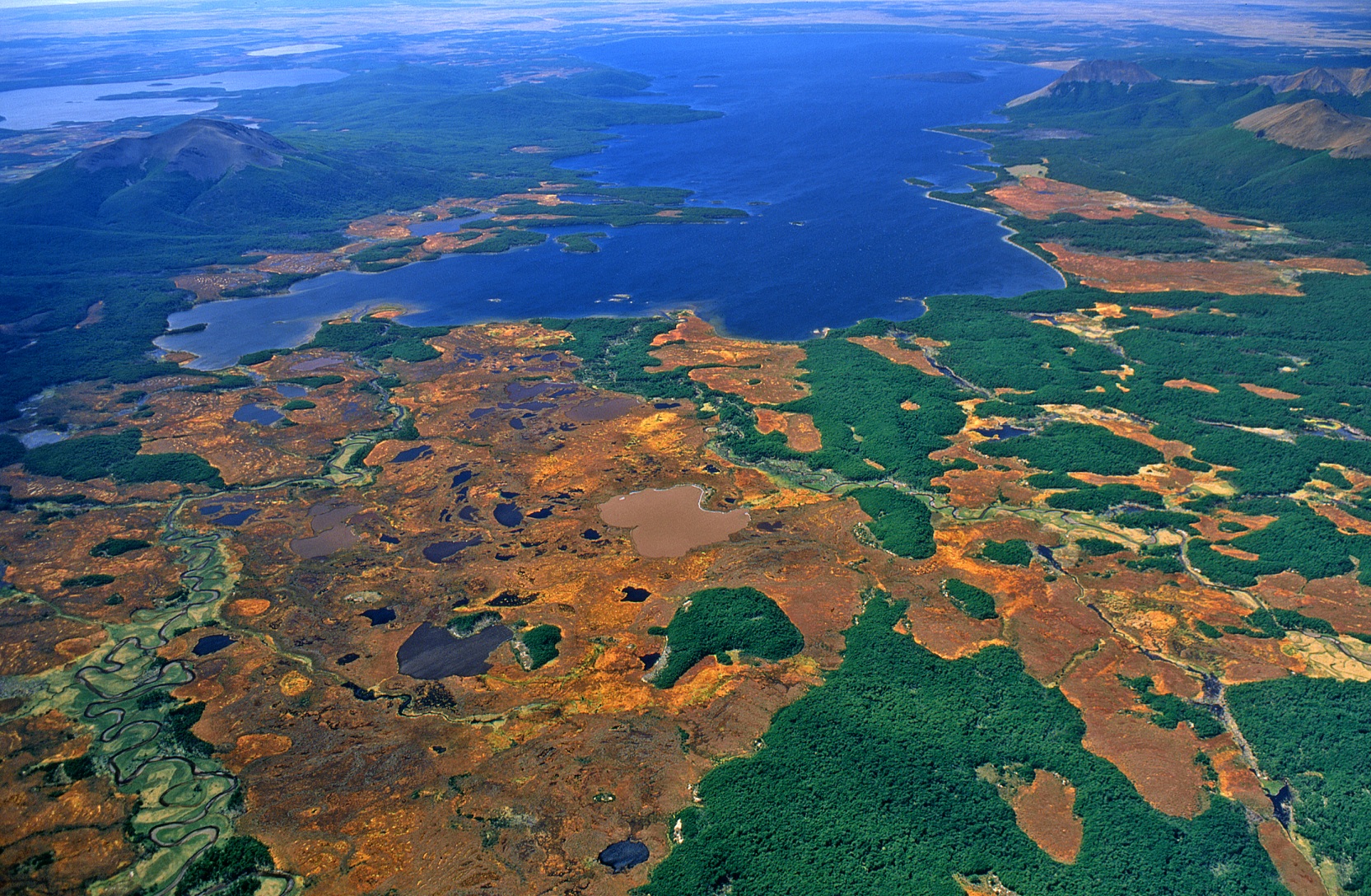 img-Mismatch Between Global Importance of Peatlands and the Extent of Their Protection