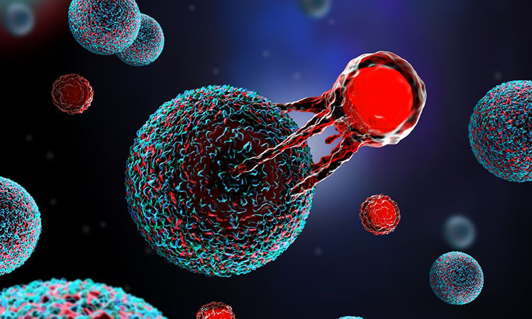 img-Novel CAR-T Therapy Shows Promise in Cancer Treatment