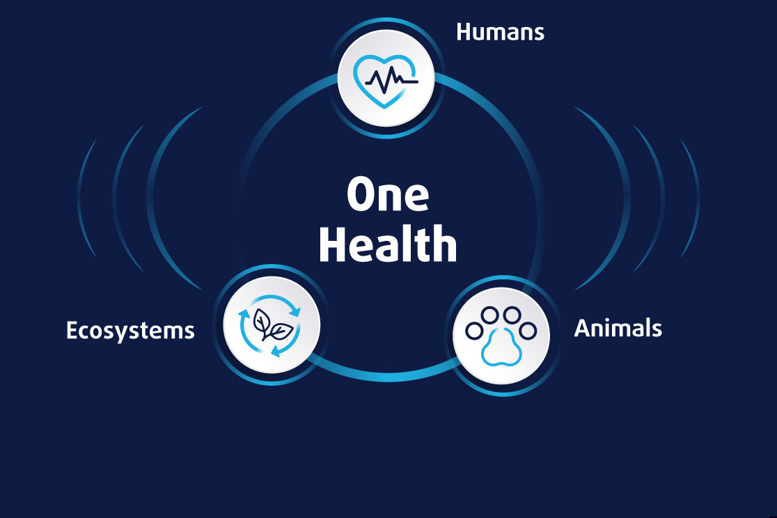 img-One Health Approach: Key Information
