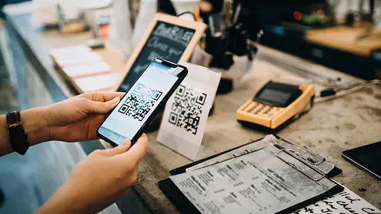 img-Payment Systems Report December 2024 (RBI Report)