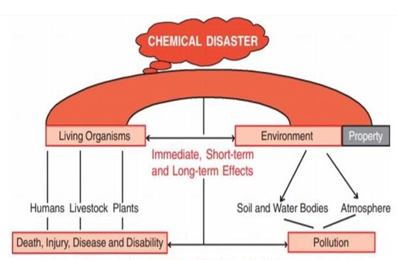 Persistent Health Effects of Bhopal Gas Tragedy