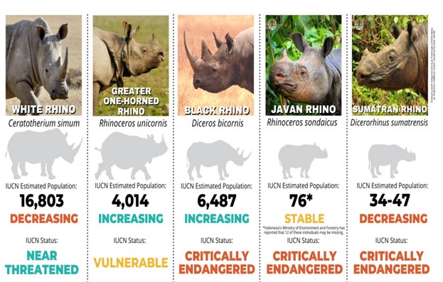 Report- State Of Rhino 2023