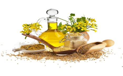 img-Dhara Mustard Hybrid DMH-11