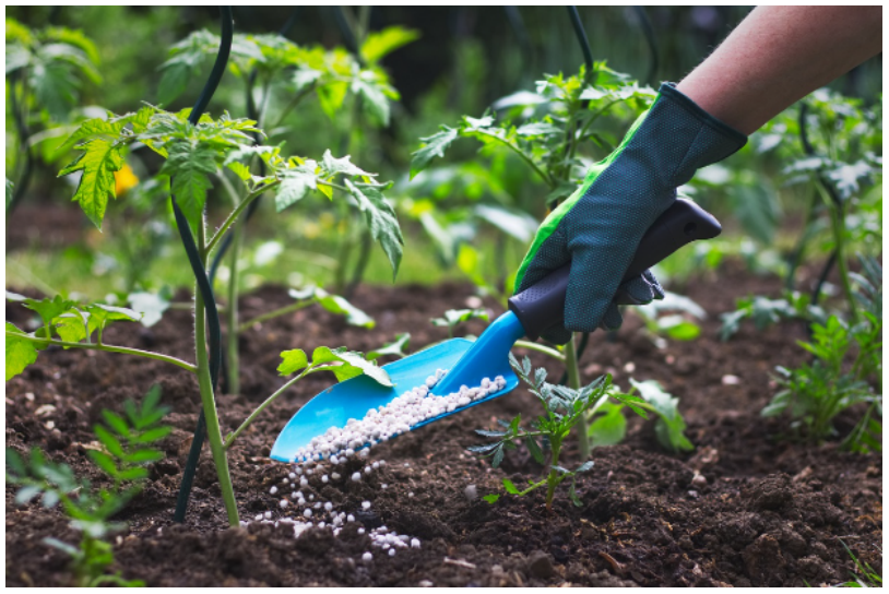 img-Nutrient Based Subsidy (NBS)