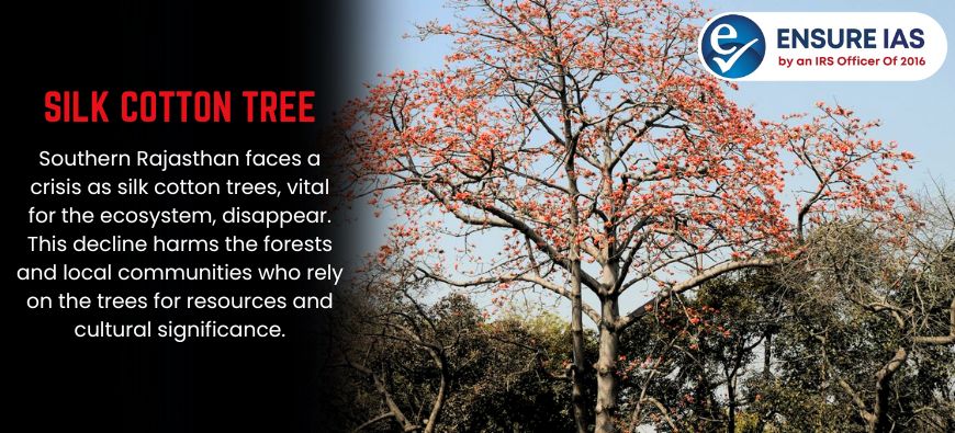 img-Silk Cotton Tree: A Lifeline for South Rajasthan Forests and People