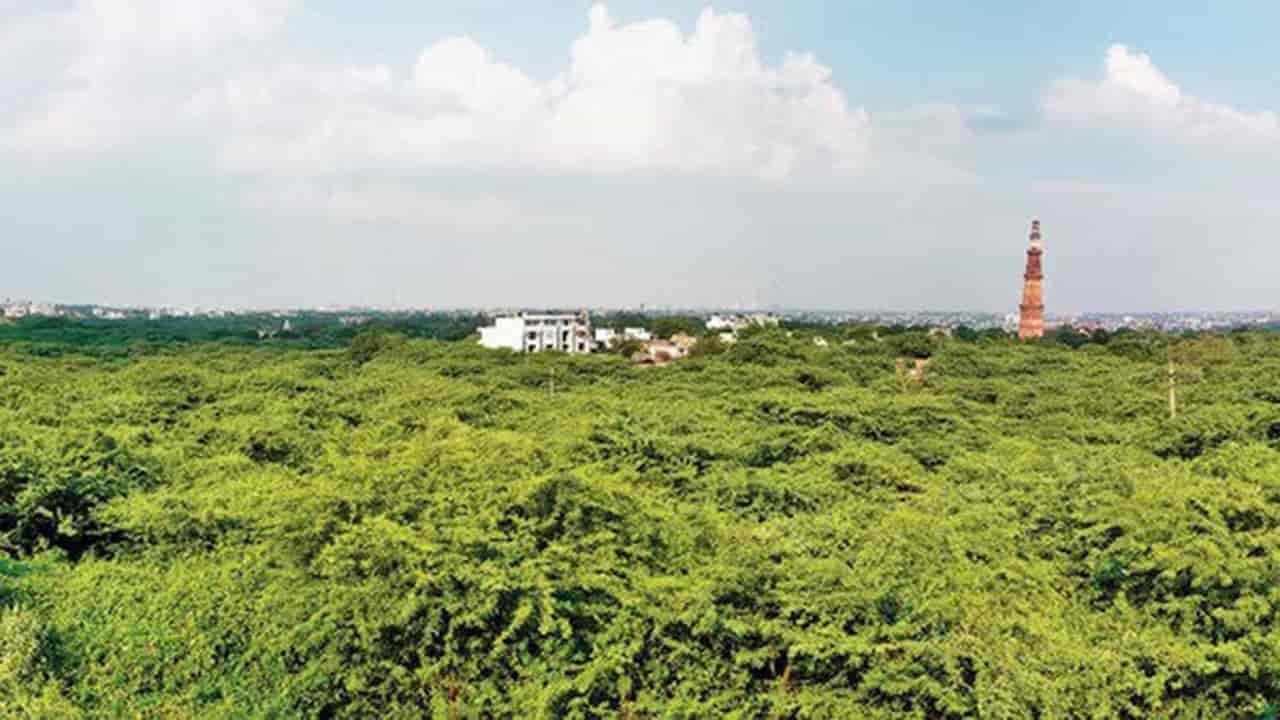 img-Supreme Court Action On Delhi Morphological Ridge Violation
