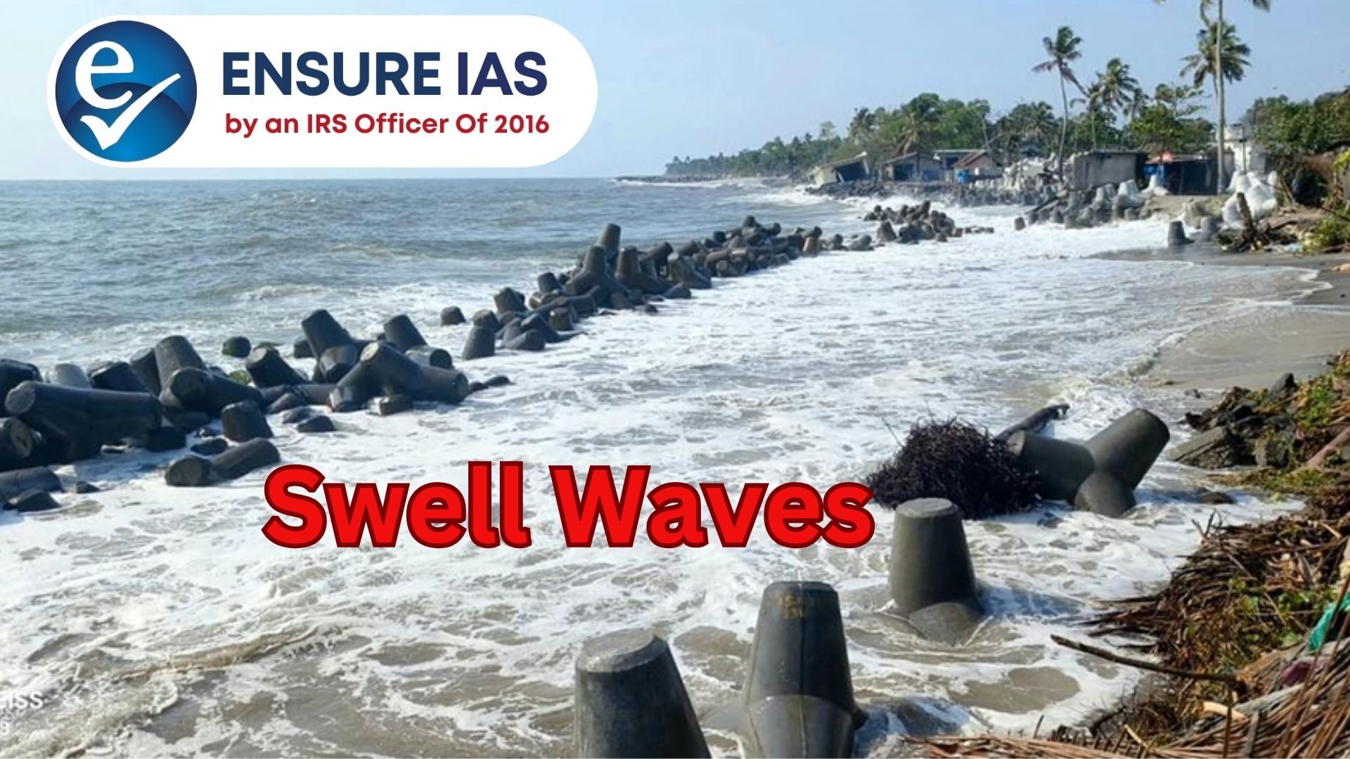 img-SWELL WAVES