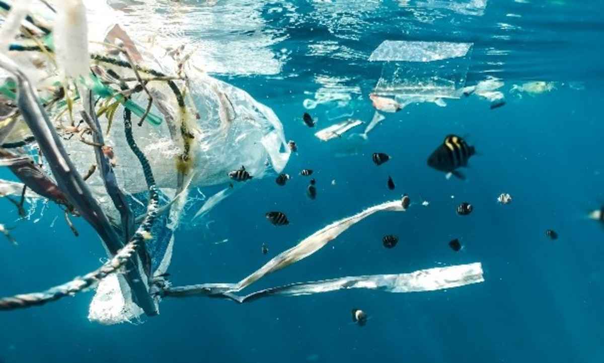 img-UNHRC 2025 Resolution: Linking Plastic Pollution, Oceans, and Human Rights