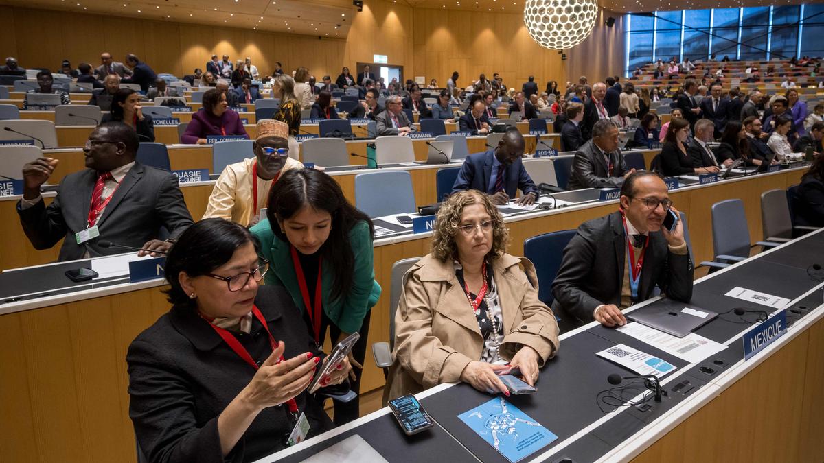 img-WIPO Treaty on Intellectual Property, Genetic Resources, and Associated Traditional Knowledge (2024)