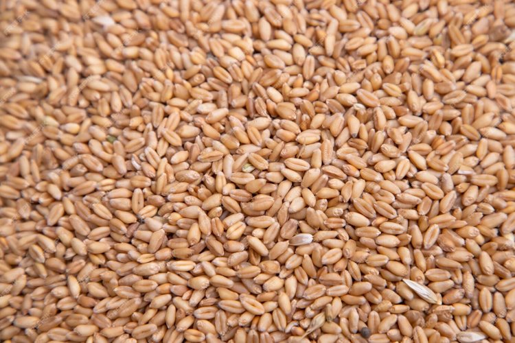 img-Why the Government Has Tightened Wheat Stock Limits