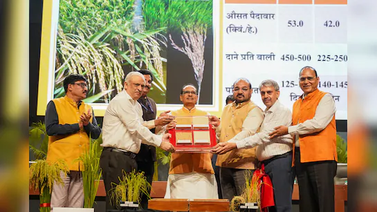 img-World's 1st Rice Variety Using 21st Century "Genome Editing" Produced In India