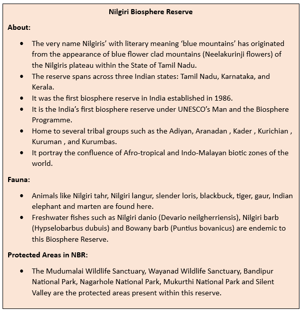 TIGER DEATHS RAISE CONCERNS IN NILGIRIS BIODIVERSITY