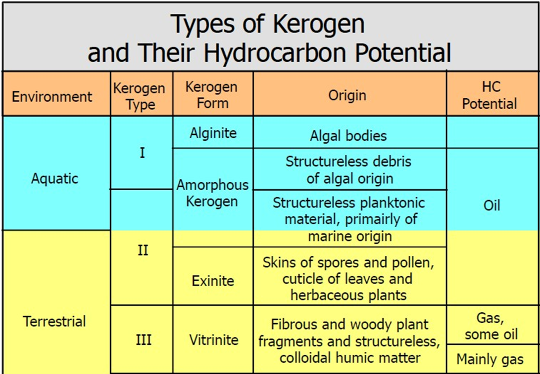 Kerogen: The Source of Hydrocarbons - ENSURE IAS