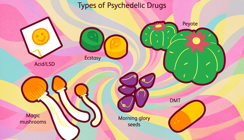 What Are Psychedelics?