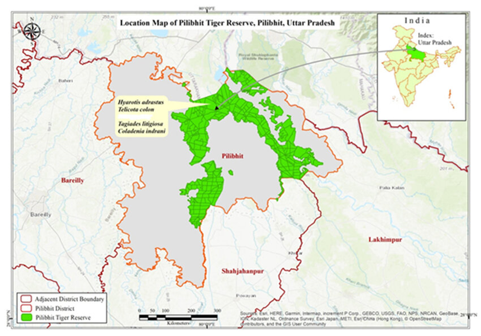 Pilibhit Tiger Reserve