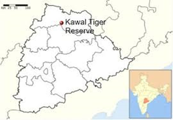 Kawal Tiger Reserve (KTR)