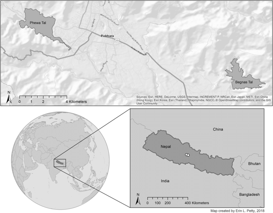 About Phewa Lake