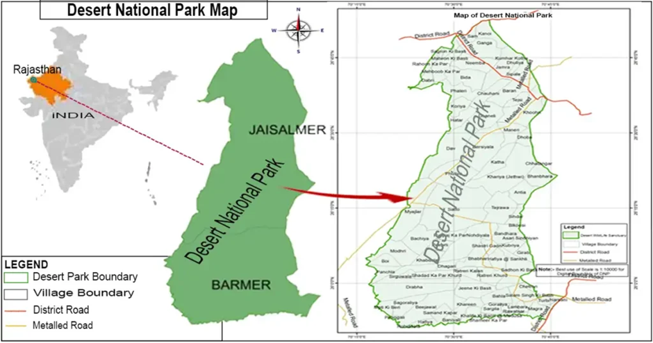 About Desert National Park
