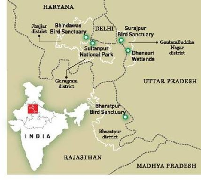 About Sultanpur National Park
