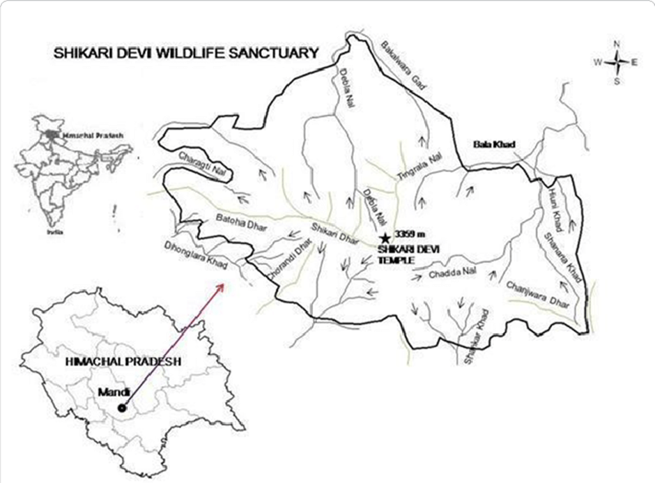 About Shikari Devi Wildlife Sanctuary