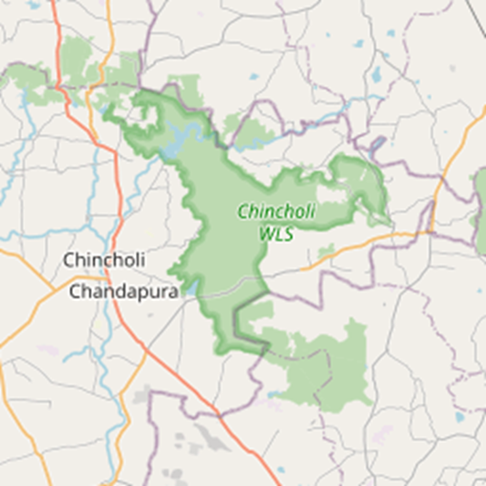 About Chincholi Wildlife Sanctuary