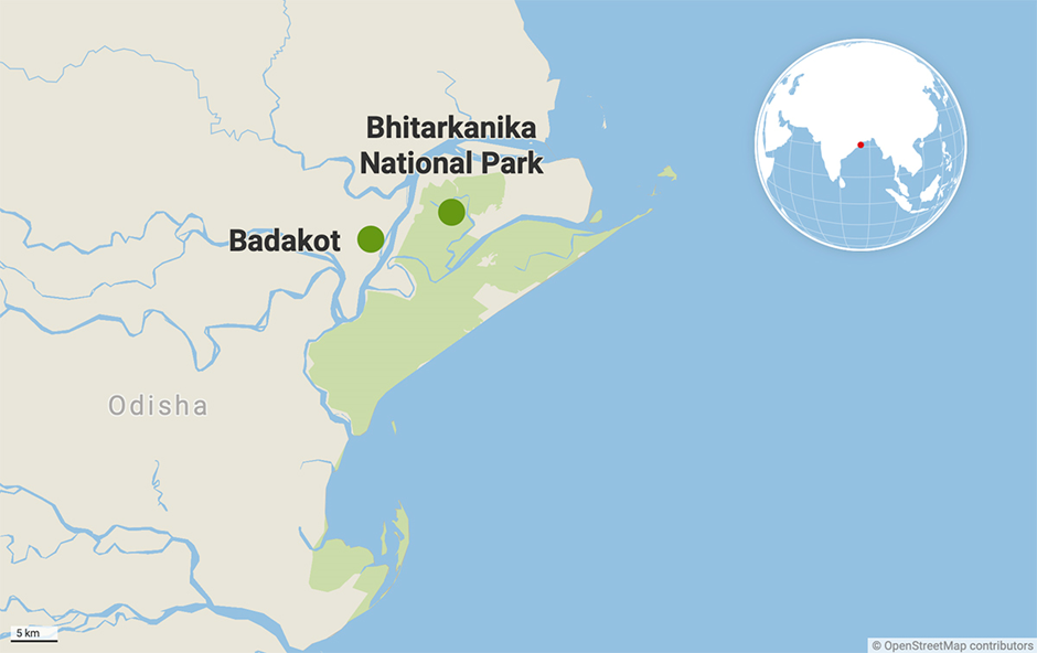 About Bhitarkanika National Park