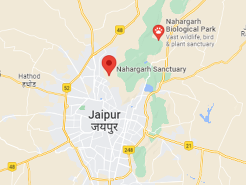 About Nahargarh Wildlife Sanctuary