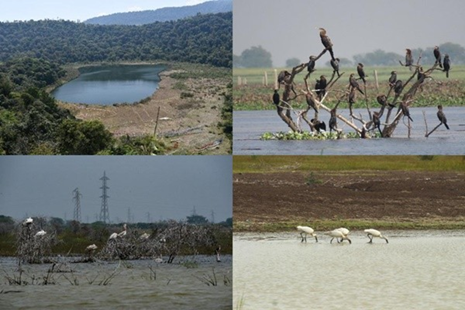 New Ramsar sites from India