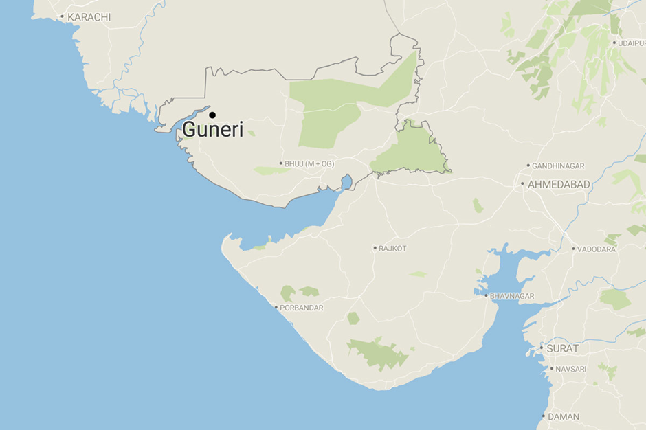 About Guneri village Mangrove Ecosystem
