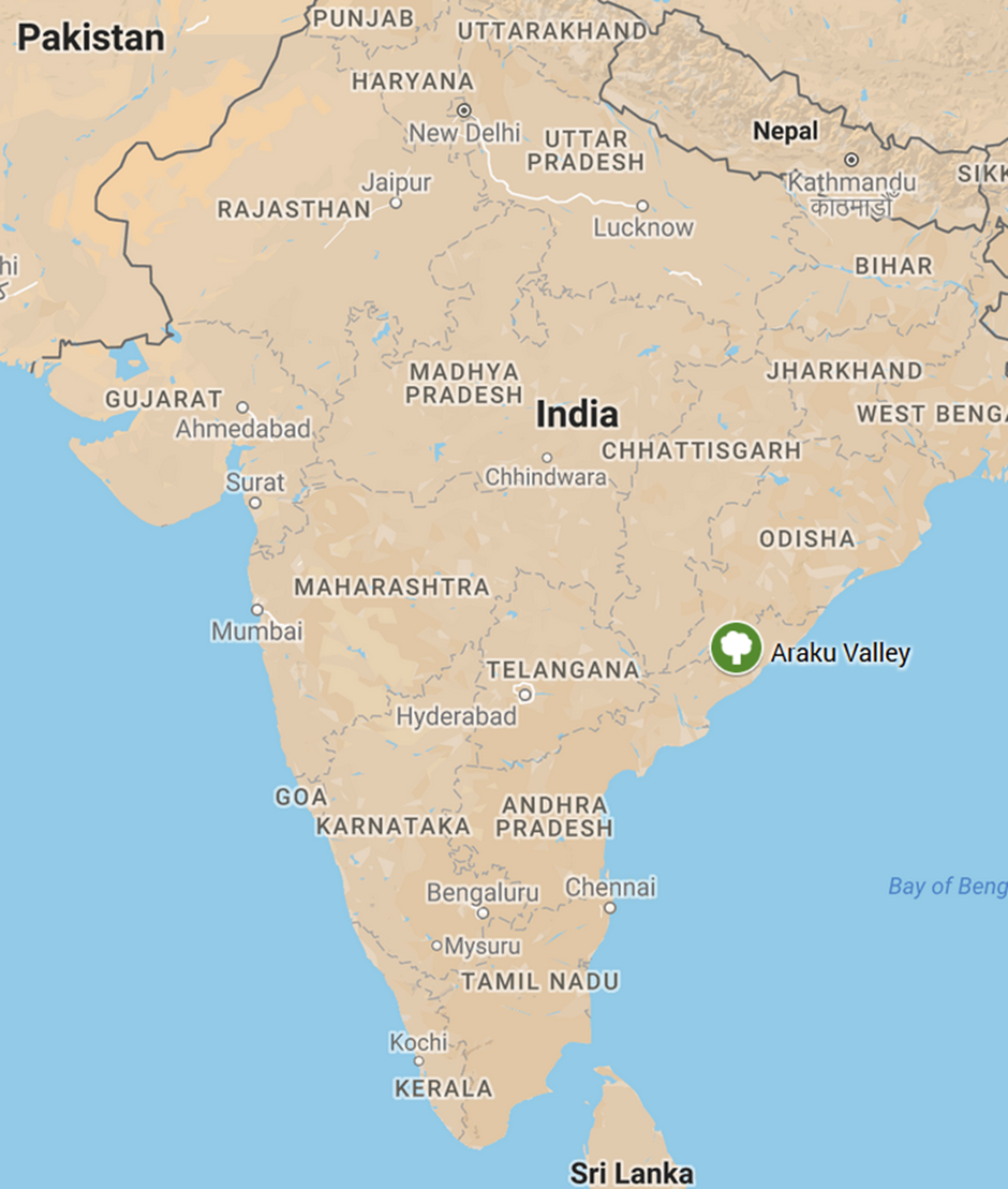 About Araku Valley
