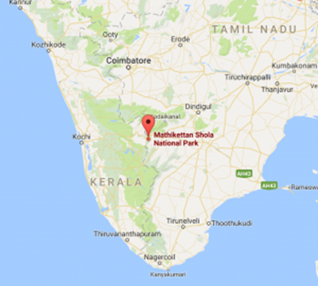 About Mathikettan Shola National Park: