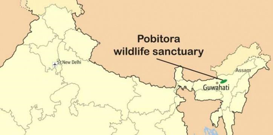About Pobitora Wildlife Sanctuary