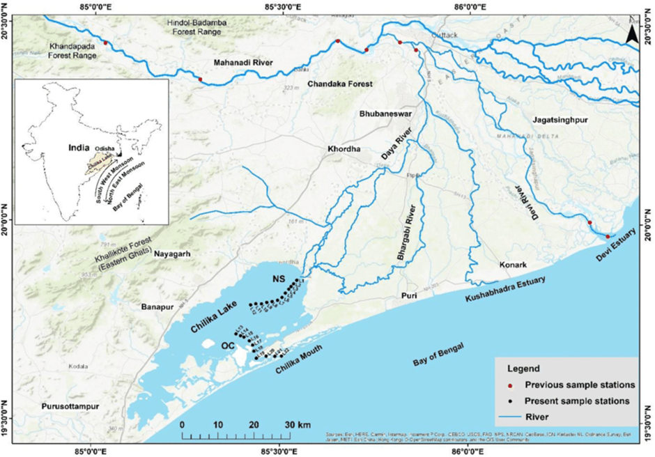 About Daya River: