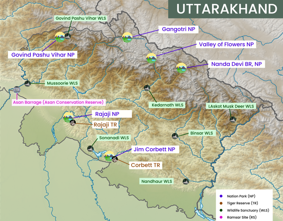 About Gangotri National Park