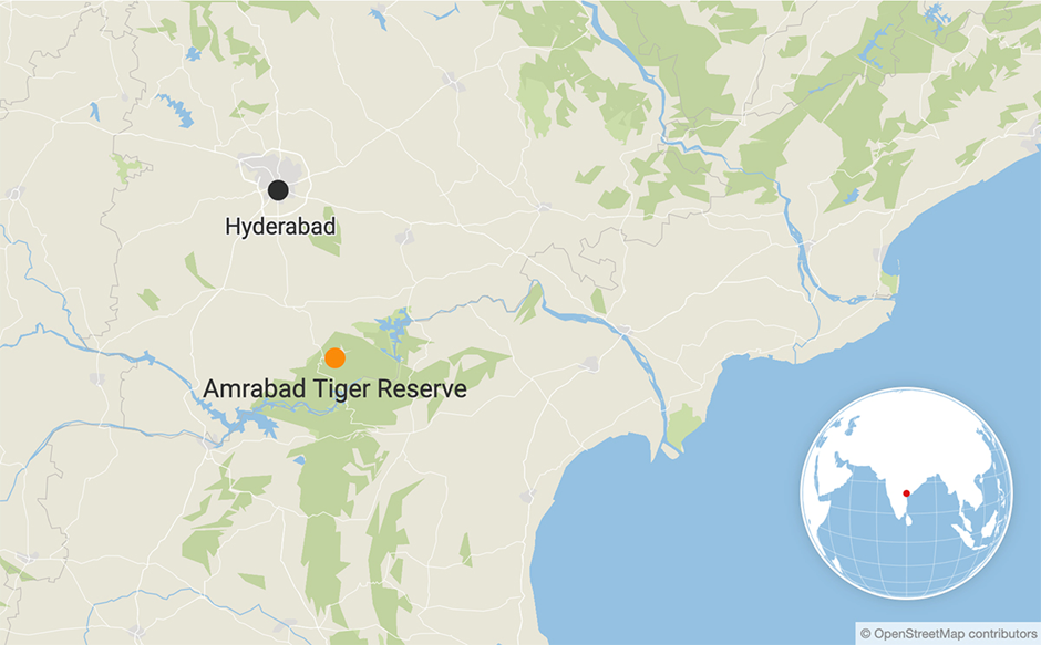 About Amrabad Tiger Reserve