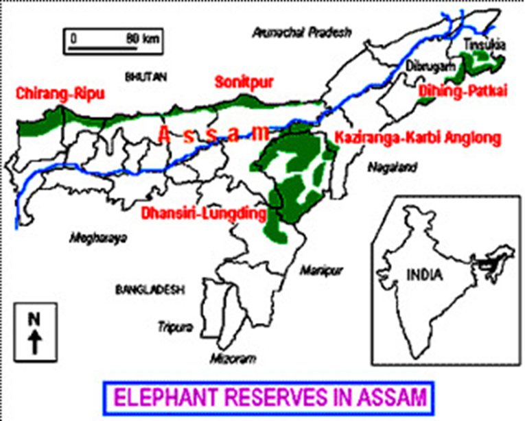 About Chirang-Ripu Elephant Reserve