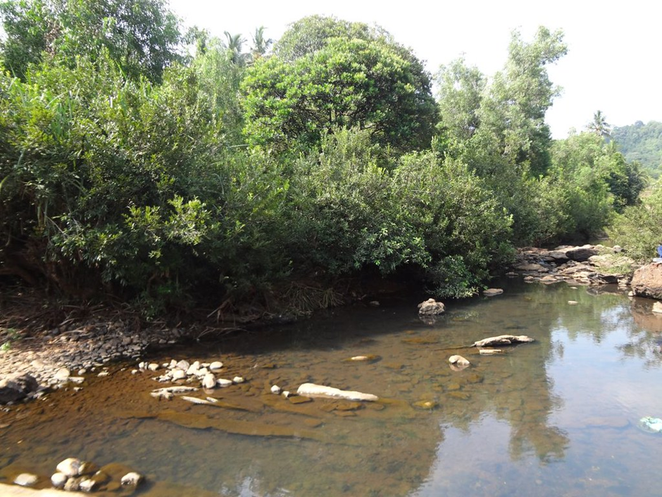 About Sowparnika River: